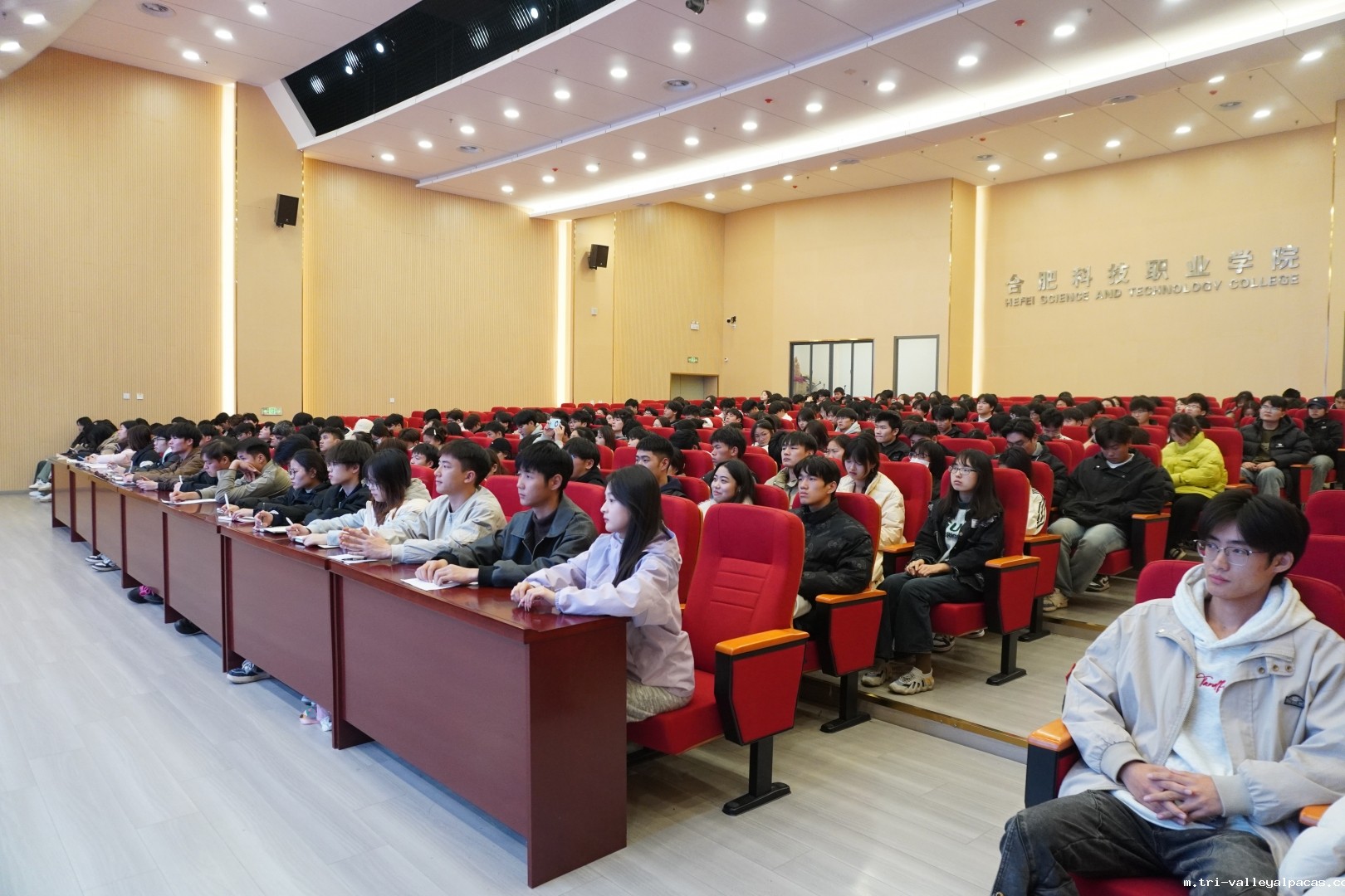 20241127145041_789960.jpg 3.JPG