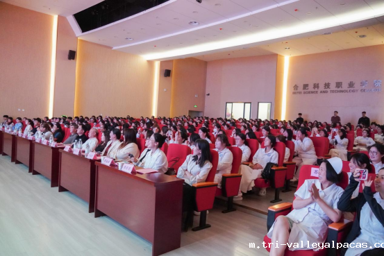 20250513110500_608326.png 20250513110500_608326.png