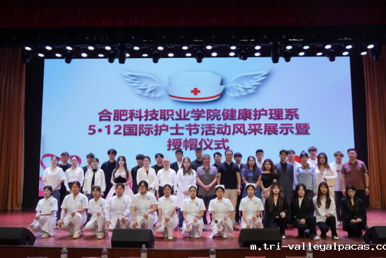 20250513110637_710559.png 20250513110637_710559.png