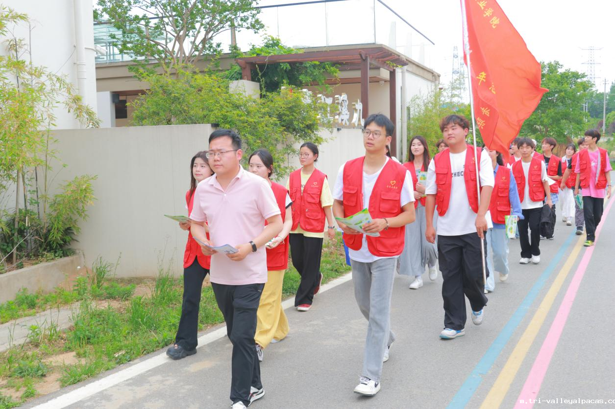 20250522092552_819841.png 1.png