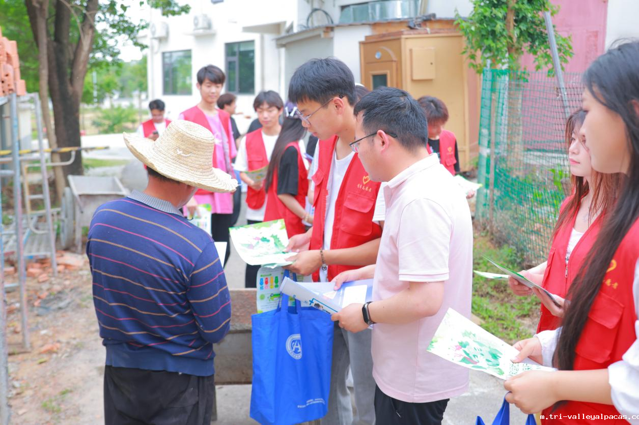 20250522092612_412866.png 2.png