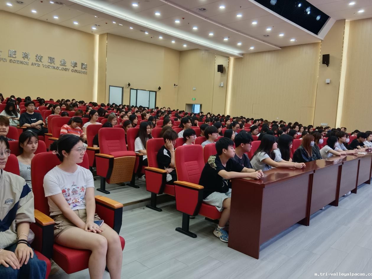 20250616180923_512363.jpeg 20250616180923_512363.jpeg