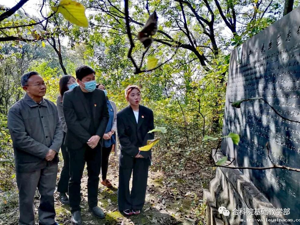 20251027084841_989447.jpg 紫蓬山2.jpg