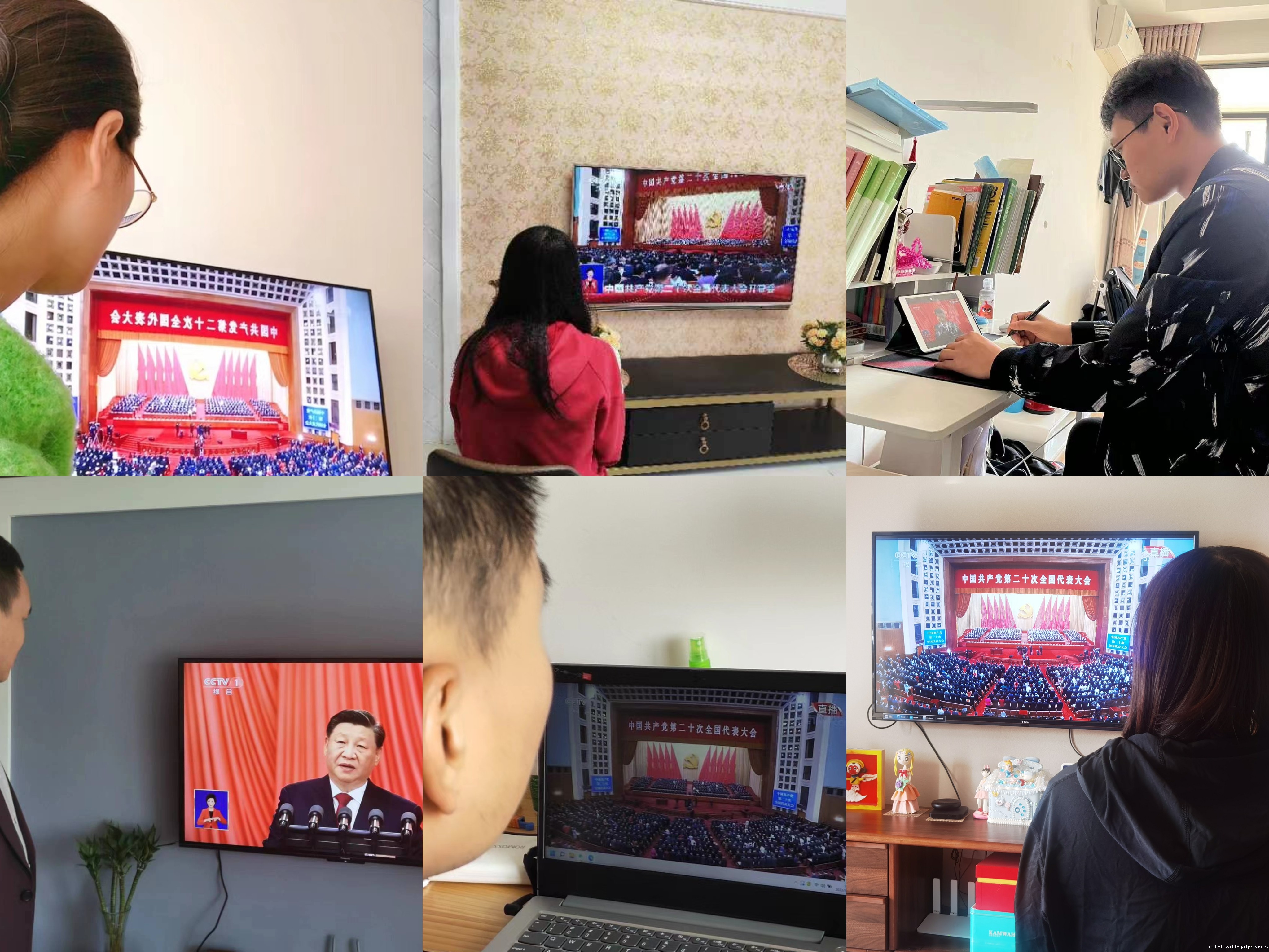 思政教学部师生热议中共二十大：踔厉奋发向未来 立德树人践理想